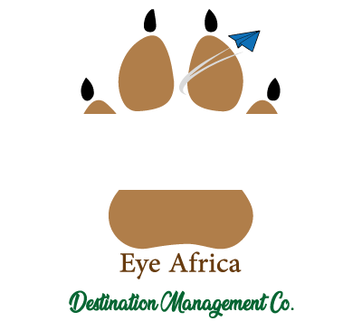 Interactive Safari Adventures